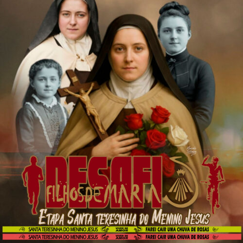 DESAFIO VIRTUAL SANTA TERESINHA MENINO JESUS