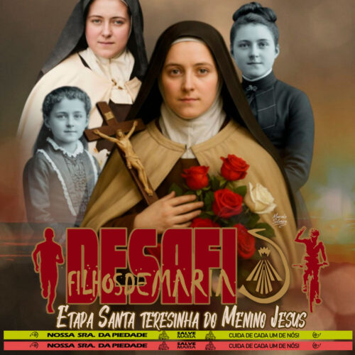 DESAFIO VIRTUAL SANTA TERESINHA MENINO JESUS